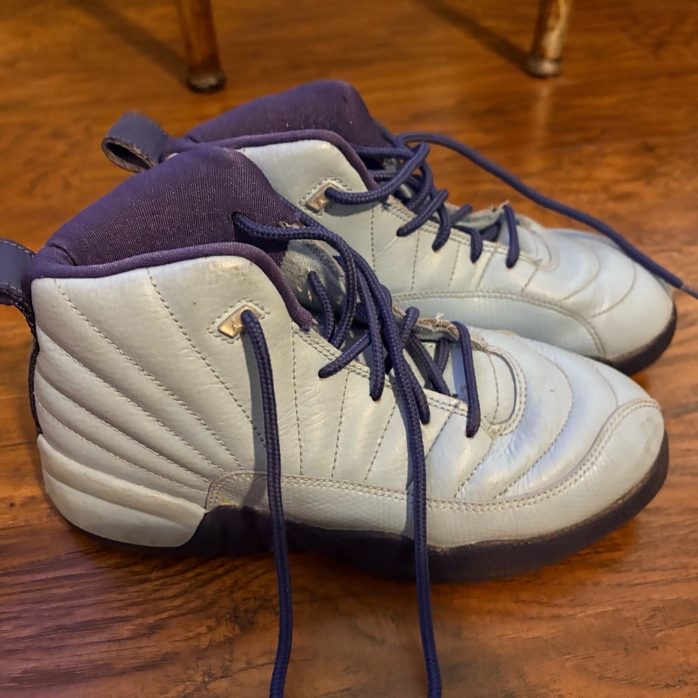 Jordan Blue and Purple Sneakers High-Top